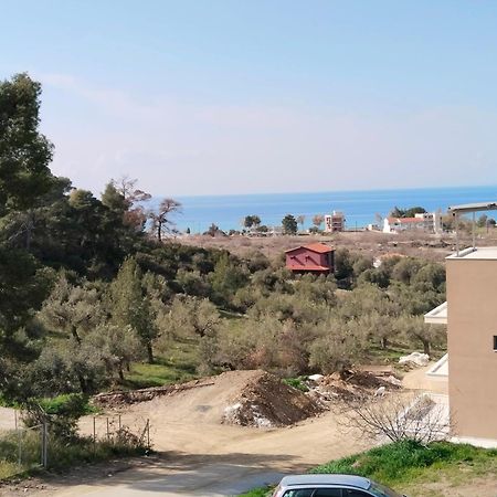 Theasis1 Villa Néosz Marmarász Kültér fotó